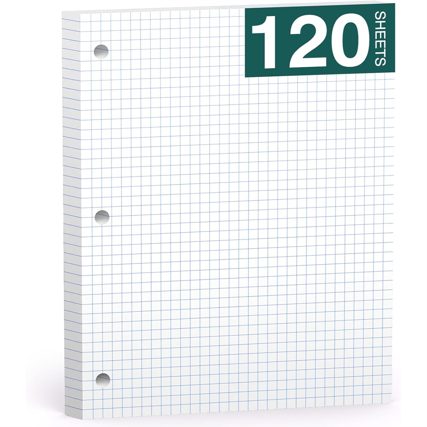 Loose Leaf Graph Paper Noteboo - Graph Paper Pad recension och pris