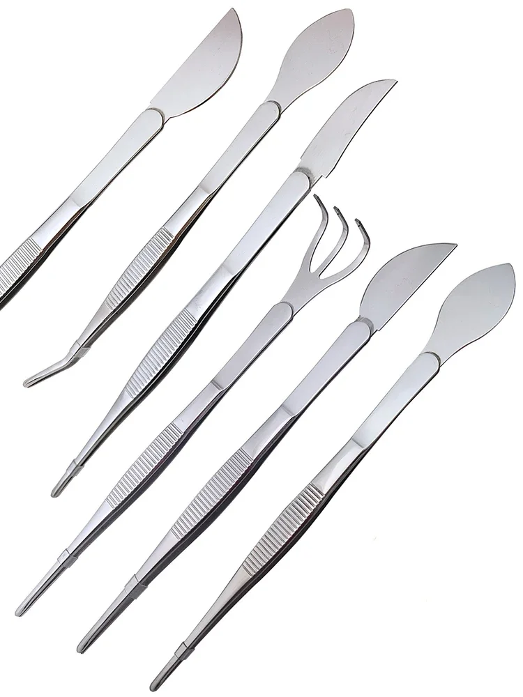 1pc 2-in-1  304 Stainless Stee - Scissors Stainless Craft recension och pris