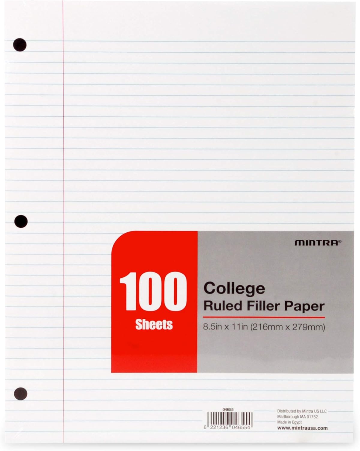 College Ruled Loose Leaf Fille - Paper Punch 3 Hole recension och pris